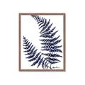 Picture of Fern on white  II _GroupedProduct_Rectangle_Portrait_Framed_Matted_