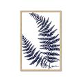Picture of Fern on white  II _GroupedProduct_Rectangle_Portrait_Framed_Matted_