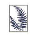 Picture of Fern on white  II _GroupedProduct_Rectangle_Portrait_Framed_Matted_