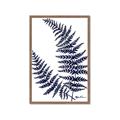 Picture of Fern on white  II _GroupedProduct_Rectangle_Portrait_Framed_Matted_