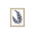 Picture of Fern on white  II _GroupedProduct_Rectangle_Portrait_Framed_Matted_