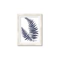Picture of Fern on white  II _GroupedProduct_Rectangle_Portrait_Framed_Matted_