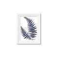 Picture of Fern on white  II _GroupedProduct_Rectangle_Portrait_Framed_Matted_