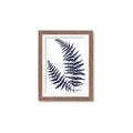 Picture of Fern on white  II _GroupedProduct_Rectangle_Portrait_Framed_Matted_