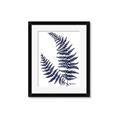 Picture of Fern on white  II _GroupedProduct_Rectangle_Portrait_Framed_Matted_