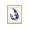 Picture of Fern on white  II _GroupedProduct_Rectangle_Portrait_Framed_Matted_