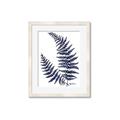 Picture of Fern on white  II _GroupedProduct_Rectangle_Portrait_Framed_Matted_