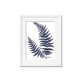 Picture of Fern on white  II _GroupedProduct_Rectangle_Portrait_Framed_Matted_