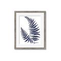 Picture of Fern on white  II _GroupedProduct_Rectangle_Portrait_Framed_Matted_