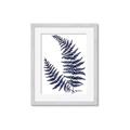 Picture of Fern on white  II _GroupedProduct_Rectangle_Portrait_Framed_Matted_