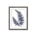 Picture of Fern on white  II _GroupedProduct_Rectangle_Portrait_Framed_Matted_