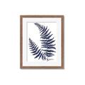 Picture of Fern on white  II _GroupedProduct_Rectangle_Portrait_Framed_Matted_