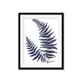 Picture of Fern on white  II _GroupedProduct_Rectangle_Portrait_Framed_Matted_
