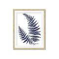 Picture of Fern on white  II _GroupedProduct_Rectangle_Portrait_Framed_Matted_