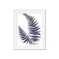 Picture of Fern on white  II _GroupedProduct_Rectangle_Portrait_Framed_Matted_