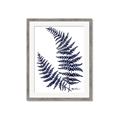 Picture of Fern on white  II _GroupedProduct_Rectangle_Portrait_Framed_Matted_