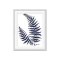 Picture of Fern on white  II _GroupedProduct_Rectangle_Portrait_Framed_Matted_