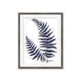Picture of Fern on white  II _GroupedProduct_Rectangle_Portrait_Framed_Matted_