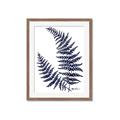 Picture of Fern on white  II _GroupedProduct_Rectangle_Portrait_Framed_Matted_