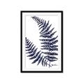 Picture of Fern on white  II _GroupedProduct_Rectangle_Portrait_Framed_Matted_