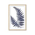 Picture of Fern on white  II _GroupedProduct_Rectangle_Portrait_Framed_Matted_