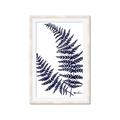 Picture of Fern on white  II _GroupedProduct_Rectangle_Portrait_Framed_Matted_