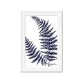 Picture of Fern on white  II _GroupedProduct_Rectangle_Portrait_Framed_Matted_