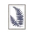 Picture of Fern on white  II _GroupedProduct_Rectangle_Portrait_Framed_Matted_