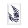 Picture of Fern on white  II _GroupedProduct_Rectangle_Portrait_Framed_Matted_