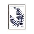 Picture of Fern on white  II _GroupedProduct_Rectangle_Portrait_Framed_Matted_