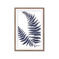 Picture of Fern on white  II _GroupedProduct_Rectangle_Portrait_Framed_Matted_