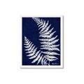 Picture of Fern on blue II _GroupedProduct_Rectangle_Portrait_Framed_Matted_