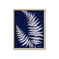 Picture of Fern on blue II _GroupedProduct_Rectangle_Portrait_Framed_Matted_