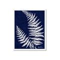 Picture of Fern on blue II _GroupedProduct_Rectangle_Portrait_Framed_Matted_