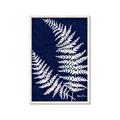 Picture of Fern on blue II _GroupedProduct_Rectangle_Portrait_Framed_Matted_