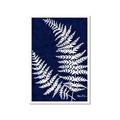 Picture of Fern on blue II _GroupedProduct_Rectangle_Portrait_Framed_Matted_