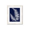 Picture of Fern on blue II _GroupedProduct_Rectangle_Portrait_Framed_Matted_