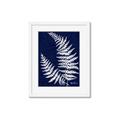 Picture of Fern on blue II _GroupedProduct_Rectangle_Portrait_Framed_Matted_