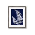 Picture of Fern on blue II _GroupedProduct_Rectangle_Portrait_Framed_Matted_