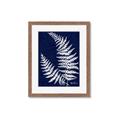Picture of Fern on blue II _GroupedProduct_Rectangle_Portrait_Framed_Matted_