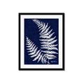 Picture of Fern on blue II _GroupedProduct_Rectangle_Portrait_Framed_Matted_