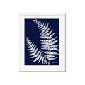 Picture of Fern on blue II _GroupedProduct_Rectangle_Portrait_Framed_Matted_