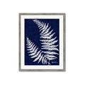 Picture of Fern on blue II _GroupedProduct_Rectangle_Portrait_Framed_Matted_