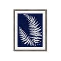 Picture of Fern on blue II _GroupedProduct_Rectangle_Portrait_Framed_Matted_
