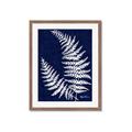 Picture of Fern on blue II _GroupedProduct_Rectangle_Portrait_Framed_Matted_