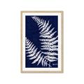 Picture of Fern on blue II _GroupedProduct_Rectangle_Portrait_Framed_Matted_