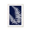 Picture of Fern on blue II _GroupedProduct_Rectangle_Portrait_Framed_Matted_