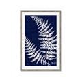 Picture of Fern on blue II _GroupedProduct_Rectangle_Portrait_Framed_Matted_