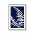 Picture of Fern on blue II _GroupedProduct_Rectangle_Portrait_Framed_Matted_