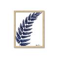 Picture of Fern on white I _GroupedProduct_Rectangle_Portrait_Framed_Matted_